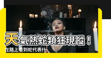 路上 看 到蛇代表什麼|【看到蛇代表什麼】看到蛇代表什麼？民俗專家揭秘：天氣熱蛇類。